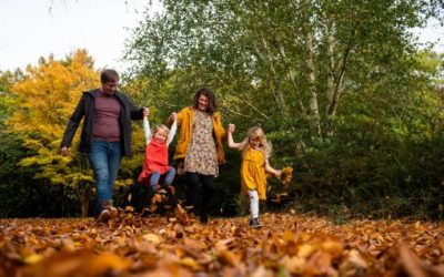 What to see in autumn at Furzey Gardens