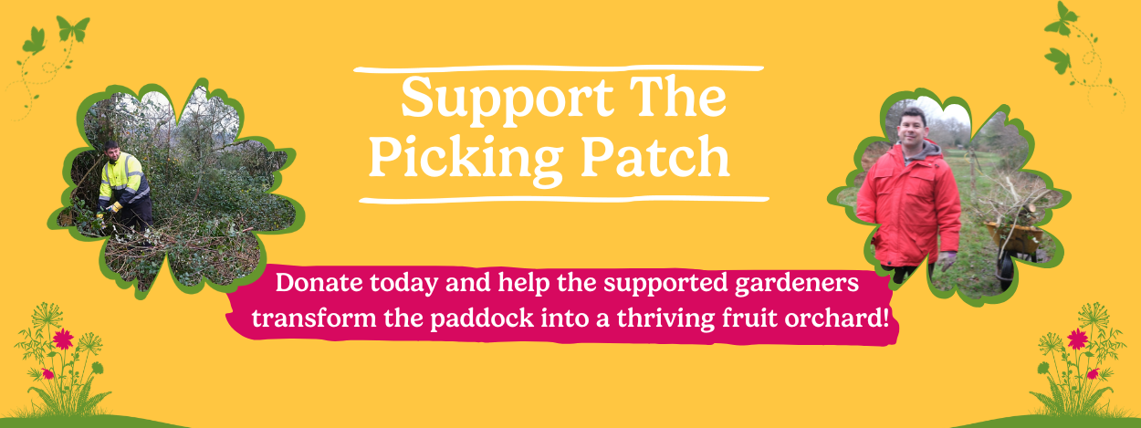 The Picking Patch project banner (820 x 360 px) (4)