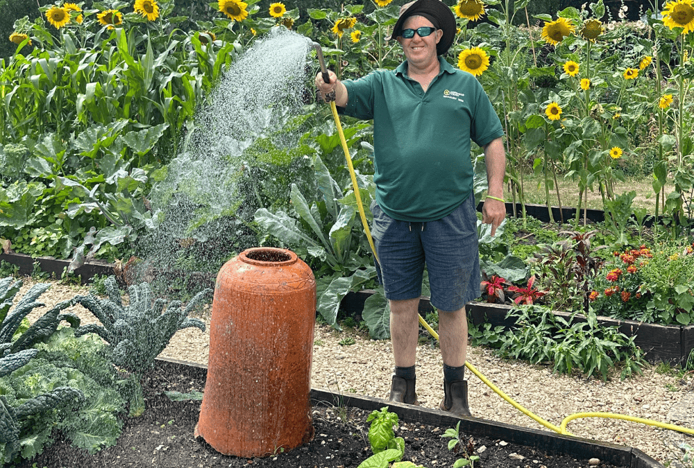 Gardening tips and advice for August
