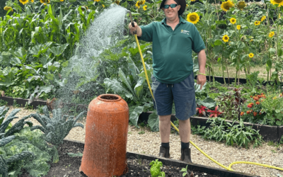 Gardening tips and advice for August