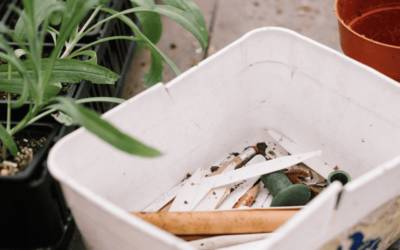 Tom: Finding safety at Furzey Nursery