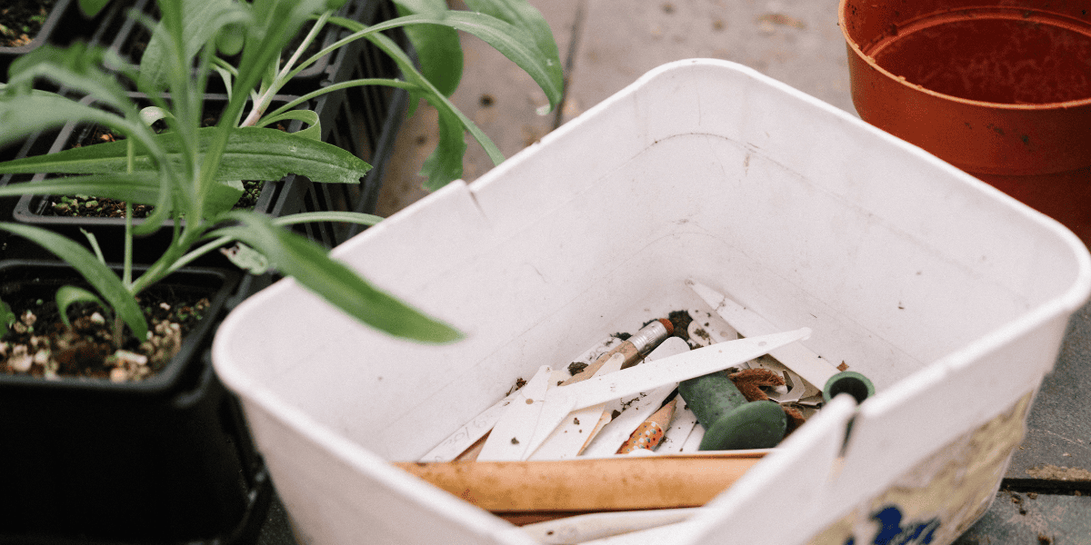 Young man with learning disabilities who is an assistant gardener at Furzey Gardens. Stood in front of a red leaved bush