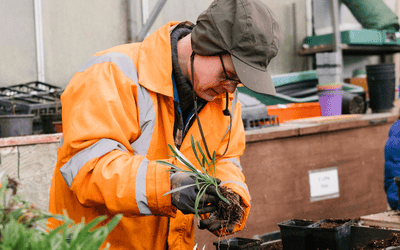 Joe: Growing at Furzey since 1995