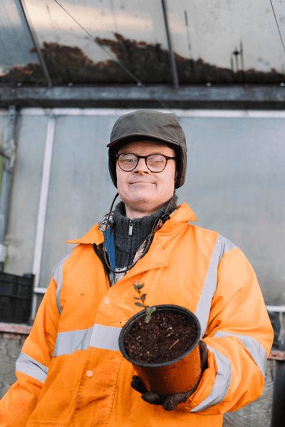 Brilliant red leaves of Enkianthus perulatus