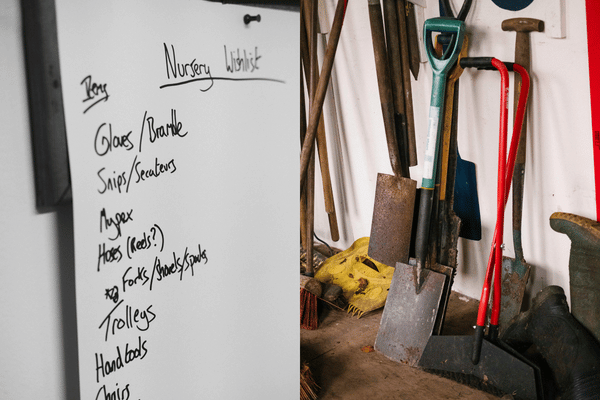 Brilliant red leaves of Enkianthus perulatus