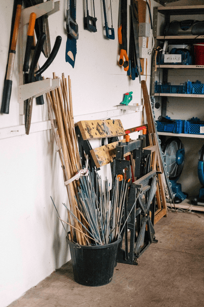 Brilliant red leaves of Enkianthus perulatus