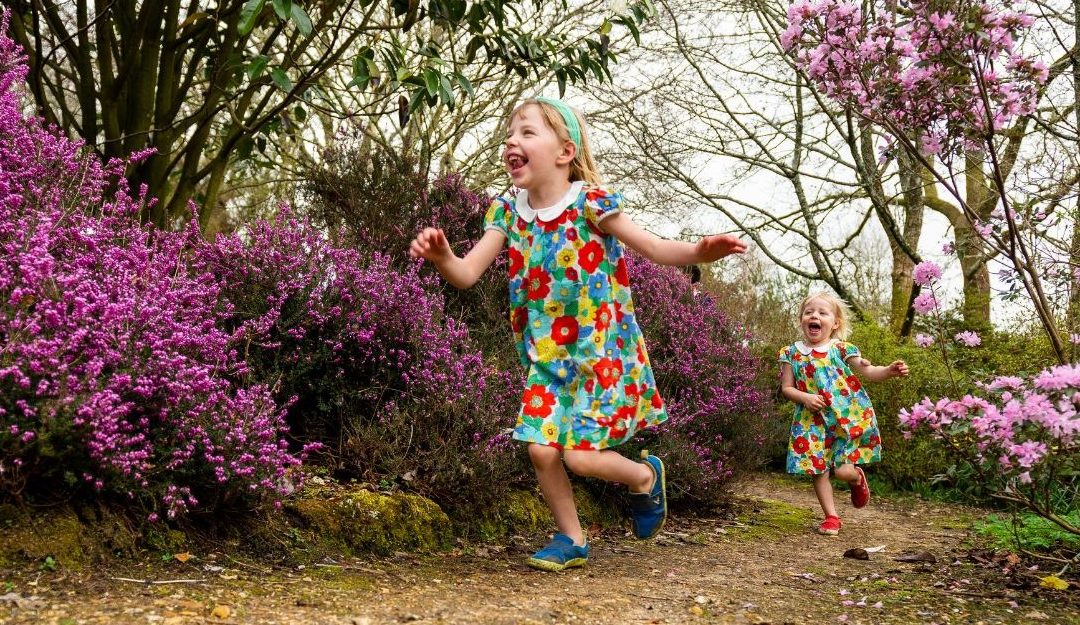 What to see in February and March