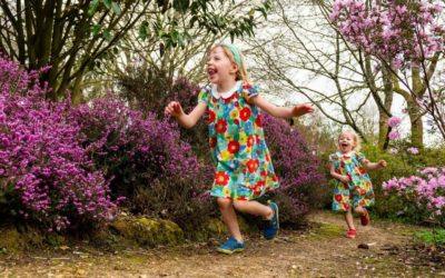 What to see in February and March