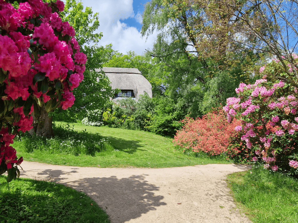 Young man in green top standing in front of hatched structure at Furzey Gardens. 