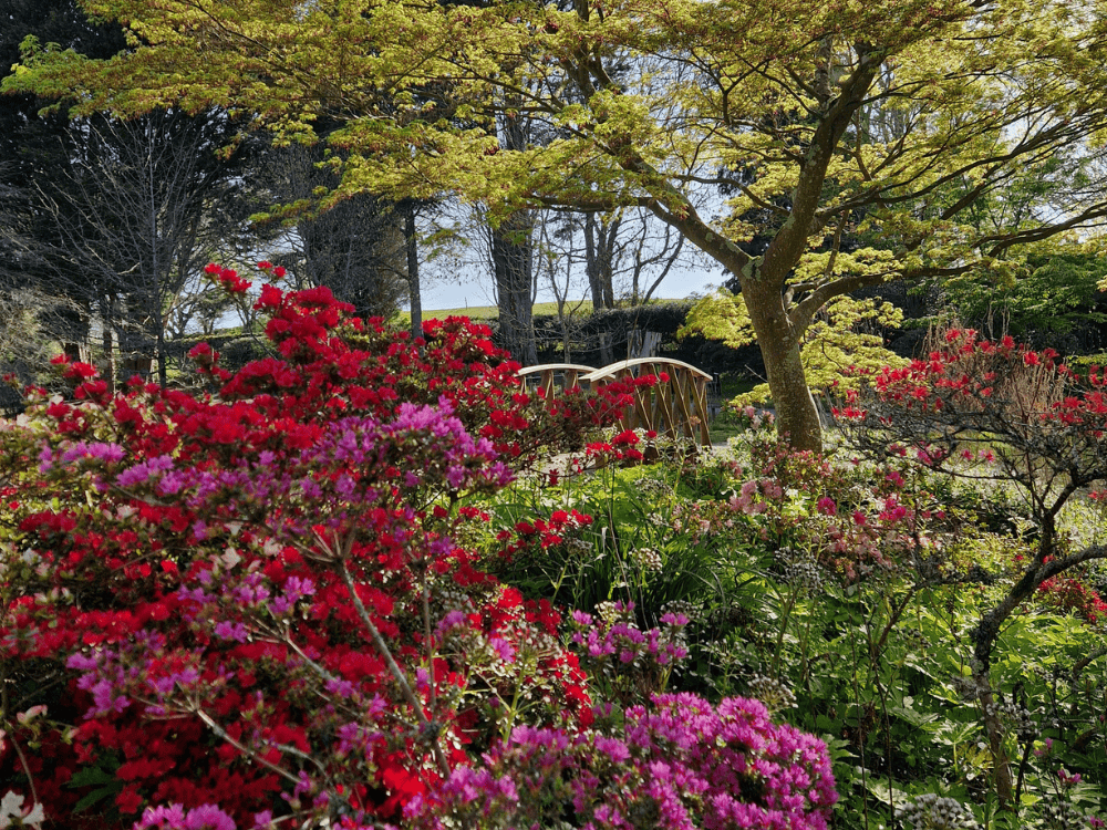 Young man in green top standing in front of hatched structure at Furzey Gardens. 