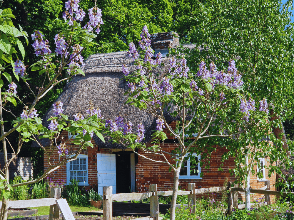 Young man in green top standing in front of hatched structure at Furzey Gardens. 
