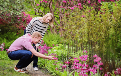 Bringing colour into your garden