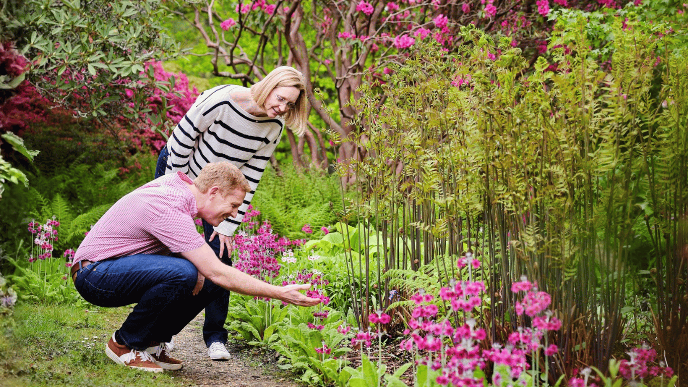 Bringing colour into your garden - Furzey Gardens