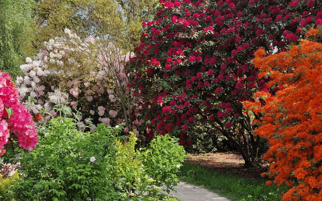 4 spring garden highlights