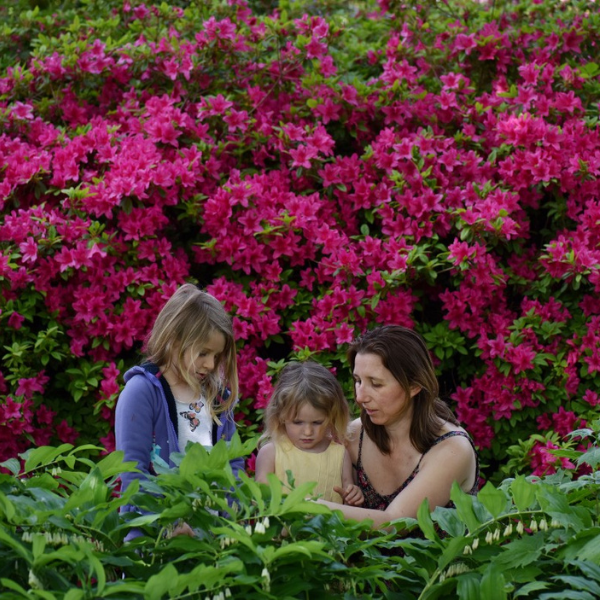 Mum with two young girls admiring the flowers