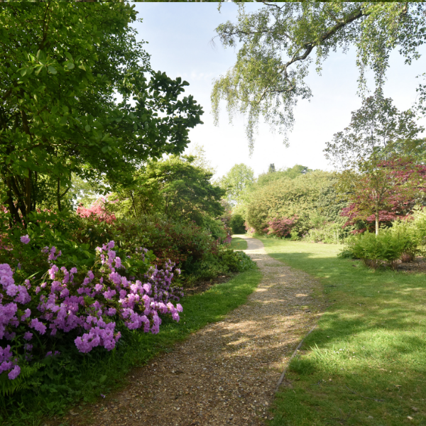 Path surrounded by trees and flowers