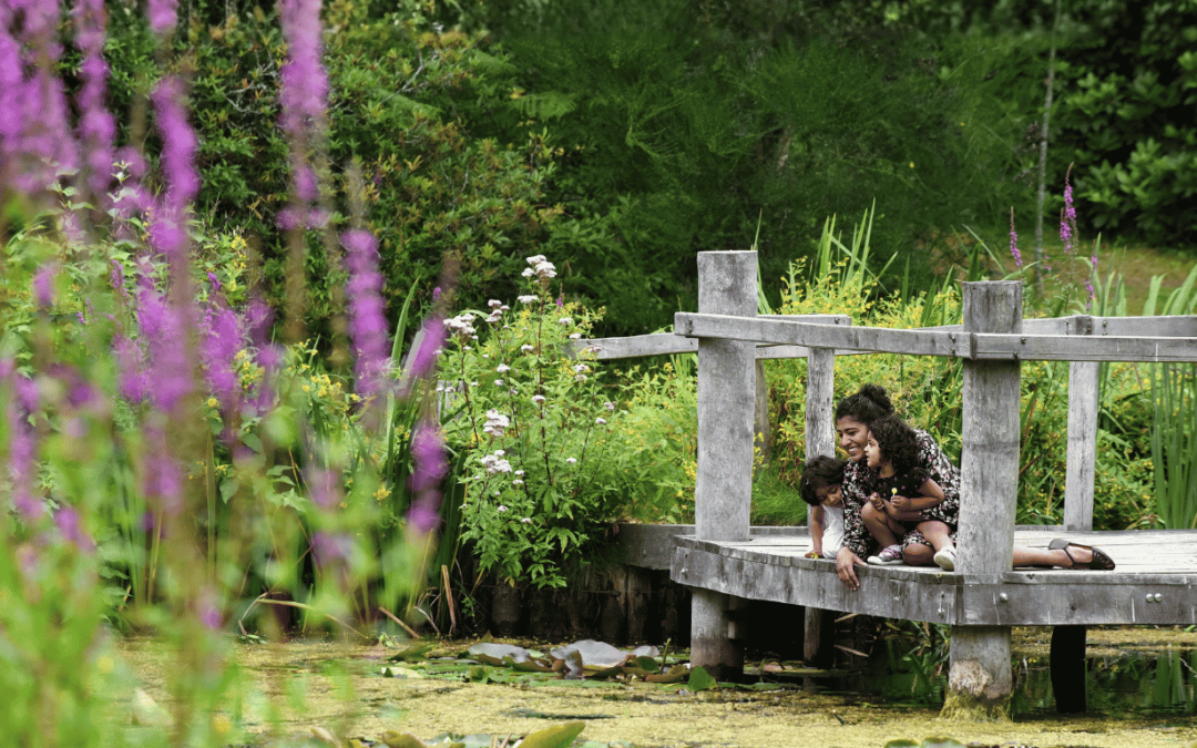 The garden where time slows down
