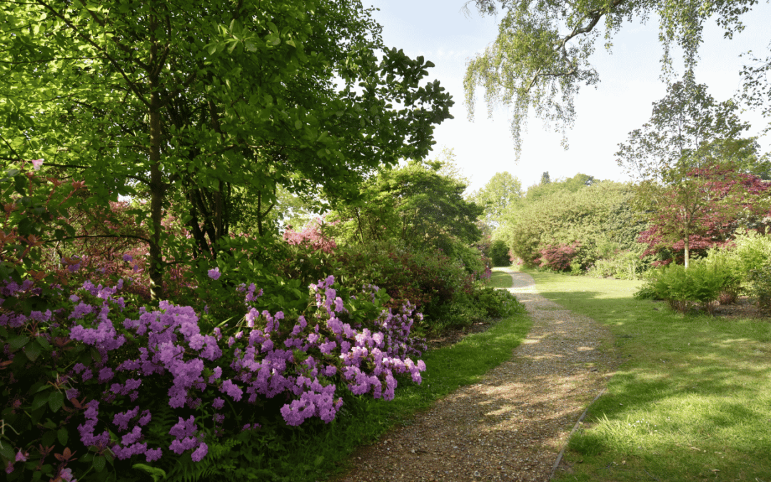 Planning a calmer visit to Furzey Gardens