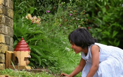 August at Furzey Gardens