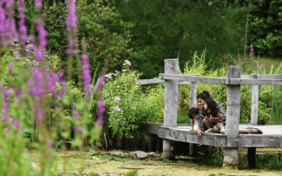 The garden where time slows down