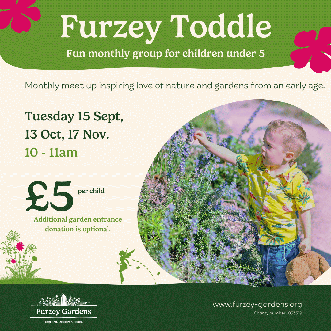 Furzey Toddle Autumn season Graphic showing the dates, time and price of the monthly toddler group. includes image of small boy reaching for a plant holding a teddy bear.