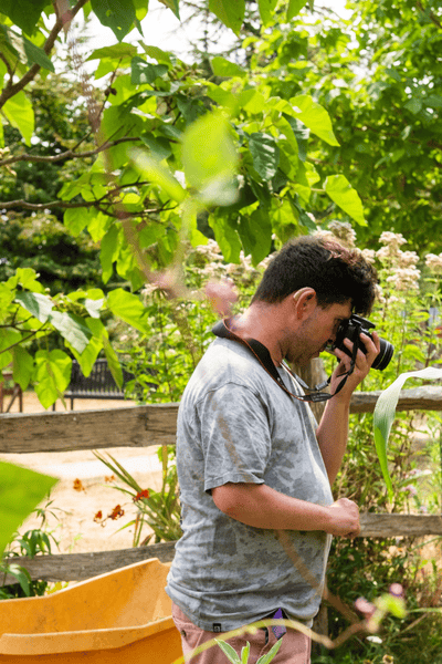 Couple looking at plants at Furzey Gardens